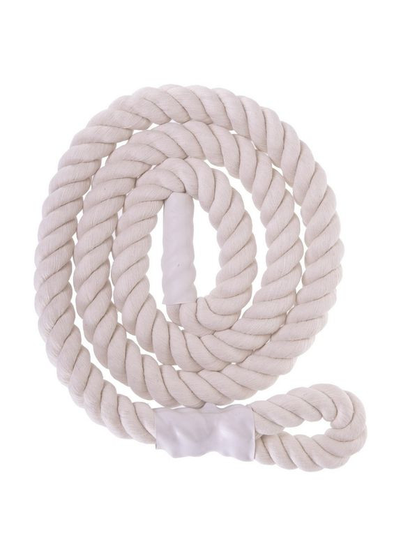 Навесной канат с диском для шведской стенки Pro (дерево, d-26мм) (YL-6082) SP-Planeta (354703860)