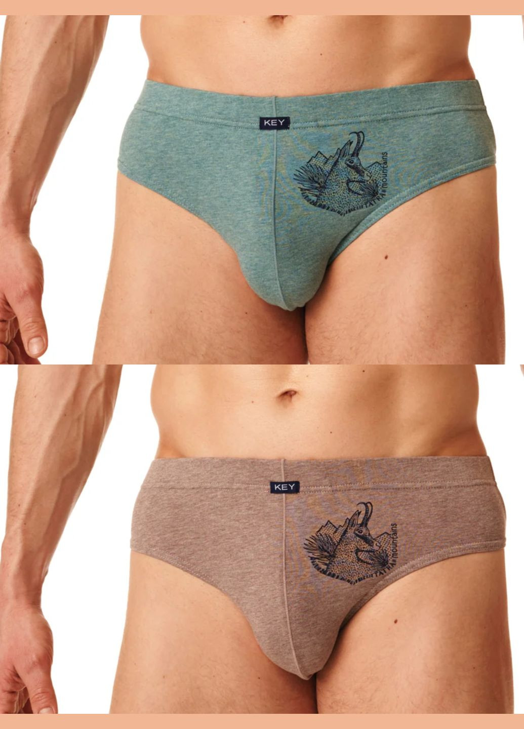 Мужские трусы слип (2 шт.) Key (301349132)