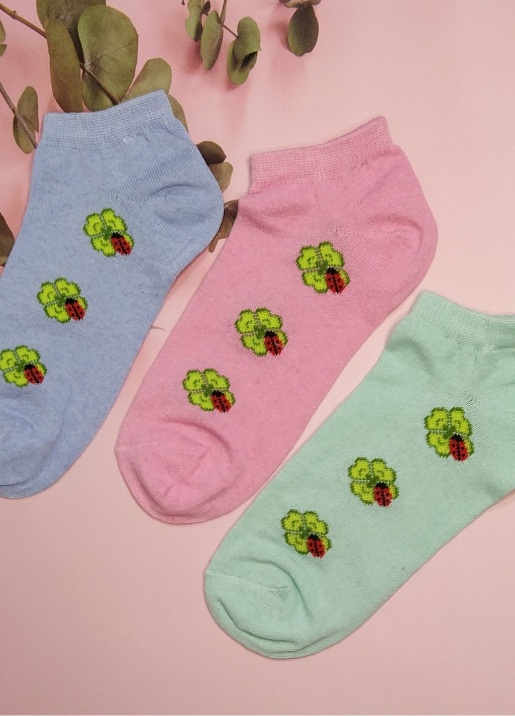 Комбинированные носки женские короткие 6 пар упаковка житомир ws 200/6 р.36-40 XTeam цветочные (351581659)