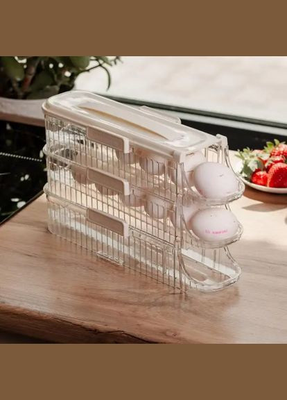 Лоток-органайзер для зберігання яєць Yiwu HP-27-15 32×10×18.5 см No Brand (339054068)