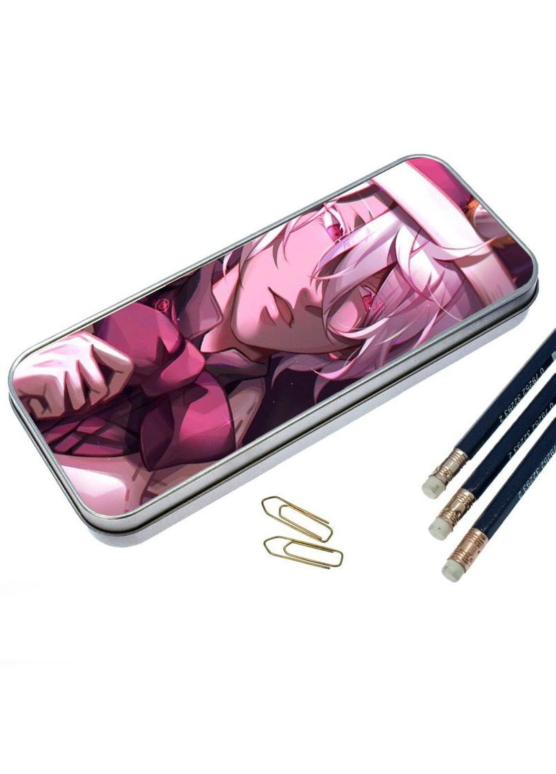 Органайзер для канцелярського приладдя металевий, кейс для дрібниць Мемуари Ванітаса #007 7*18 см Silver No Brand (309154938)