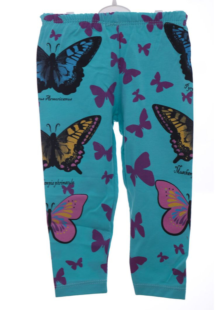 Лосины для девочки трикотажные с Бабочкой бирюзовый 86 см (37340) BABYKROHA (315721692)