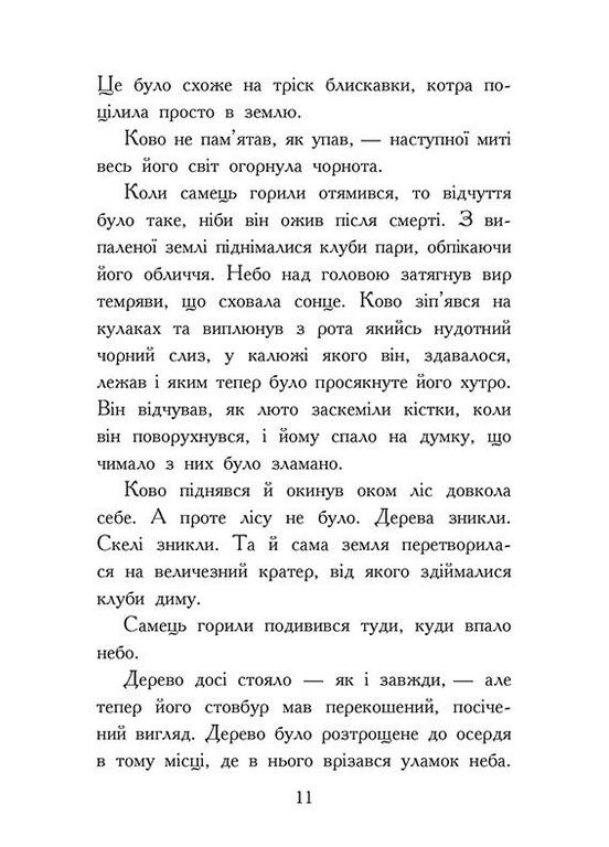 Зверодухи. Падение животных. Пламенный прилив. Книга 4 РАНОК (370060976)