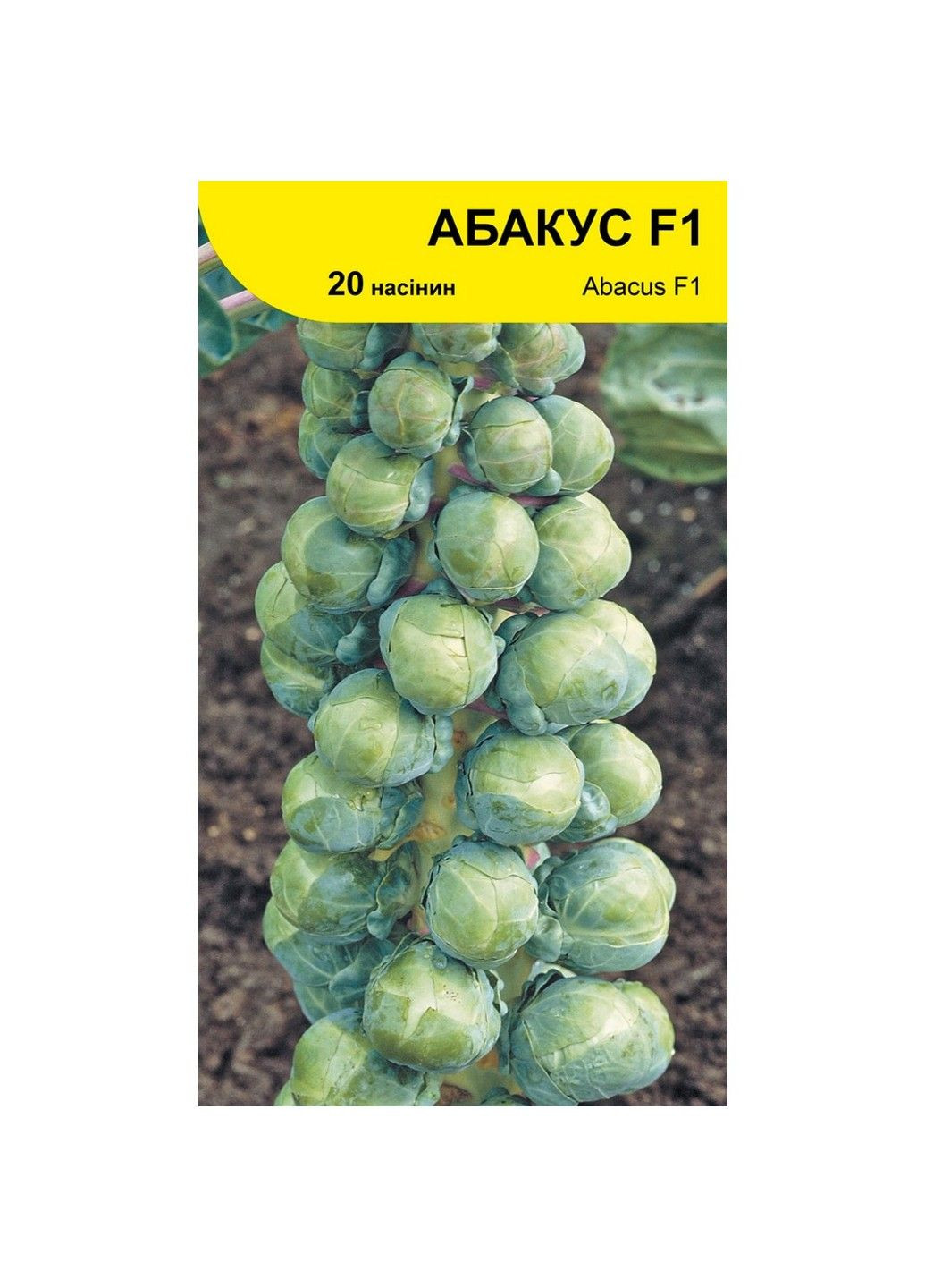Насіння капусти брюссельська Абакус F1 Syngenta (331900664)