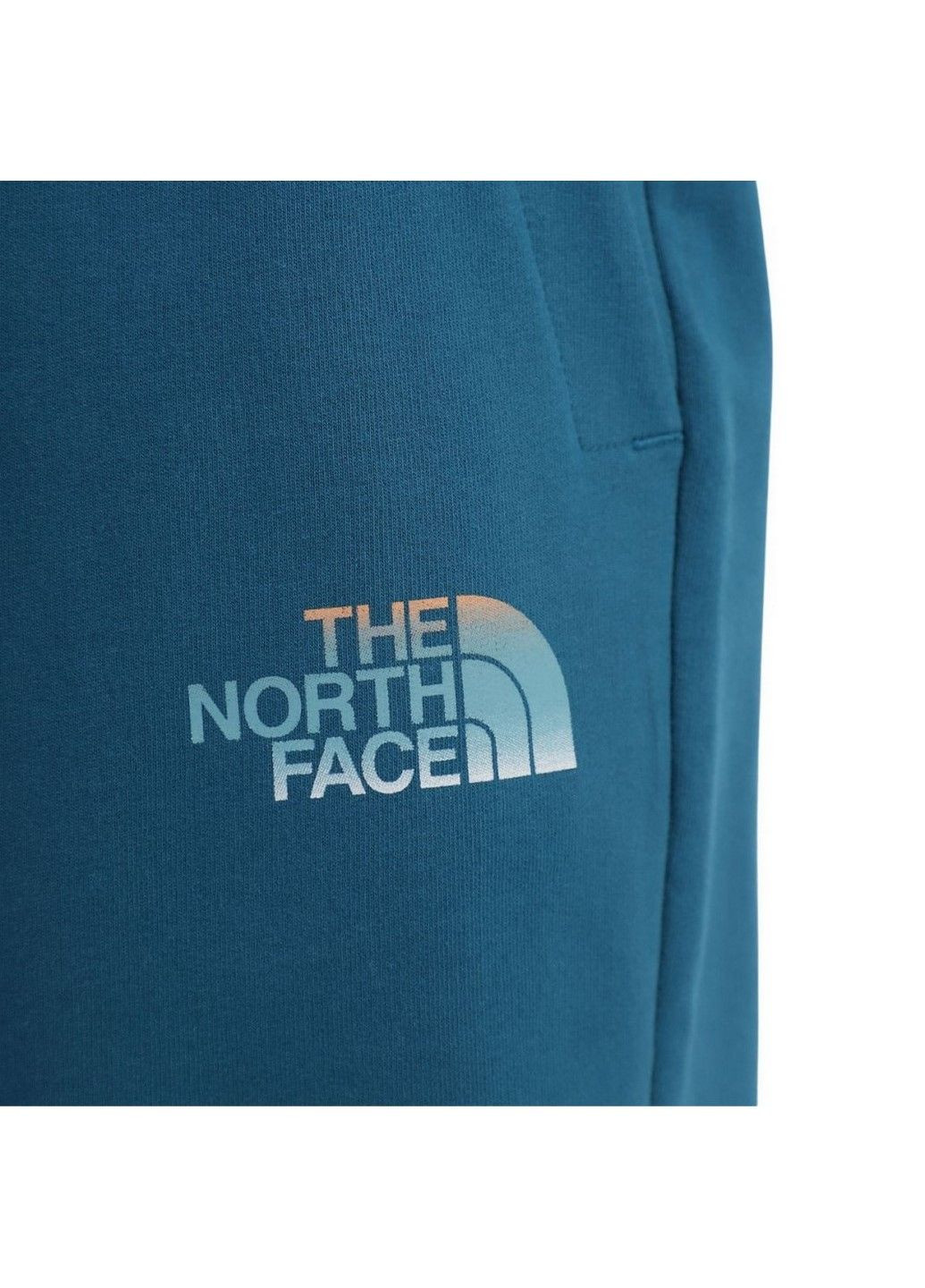 Шорты D2 GRAPHIC SHORT NF0A83FREFS1 The North Face (285794809)