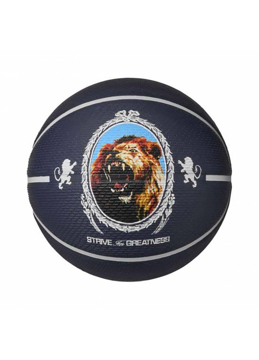 Мяч баскетбольный PLAYGROUND 2.0 8P L JAMES DEFLATED PURPLE INK/PHANTOM/BLACK/PHANTOM size 7 Nike (333955371)