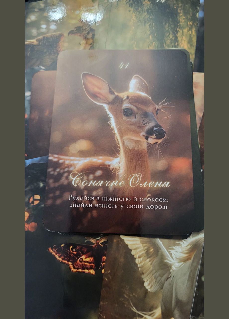 Карти Таро Оракул Лісових істот 44 шт No Brand (334889281)