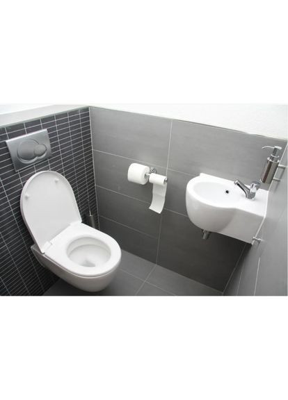 Засіб для септиків, туалетів та вигрібних ям Professional лаванда, 250 гр Biofos (282847975)