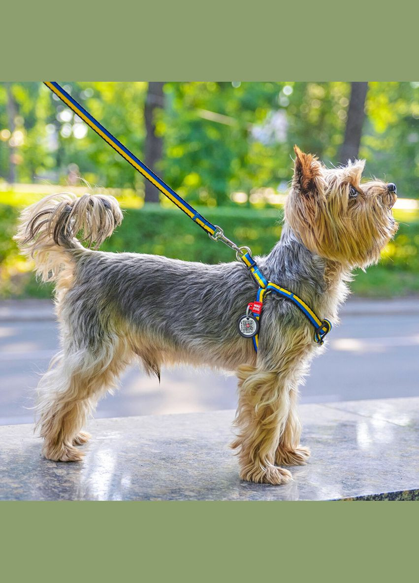 Шлей для кошек и мелких пород собак Nylon с QR паспортом, XS, Ш 10 мм, Длин 28-40 см WAUDOG (322641926)