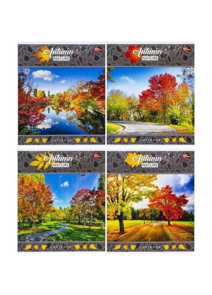 Зошит кольоровий 24 аркушів, клітинка (16 штук в упаковці) Мрії Збуваються (361412053)