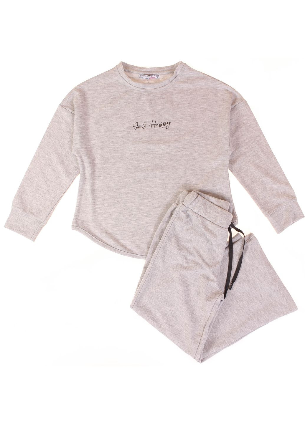 Сірий демісезонний джемпер + штани 3909 сірий меланжевий BLUELAND