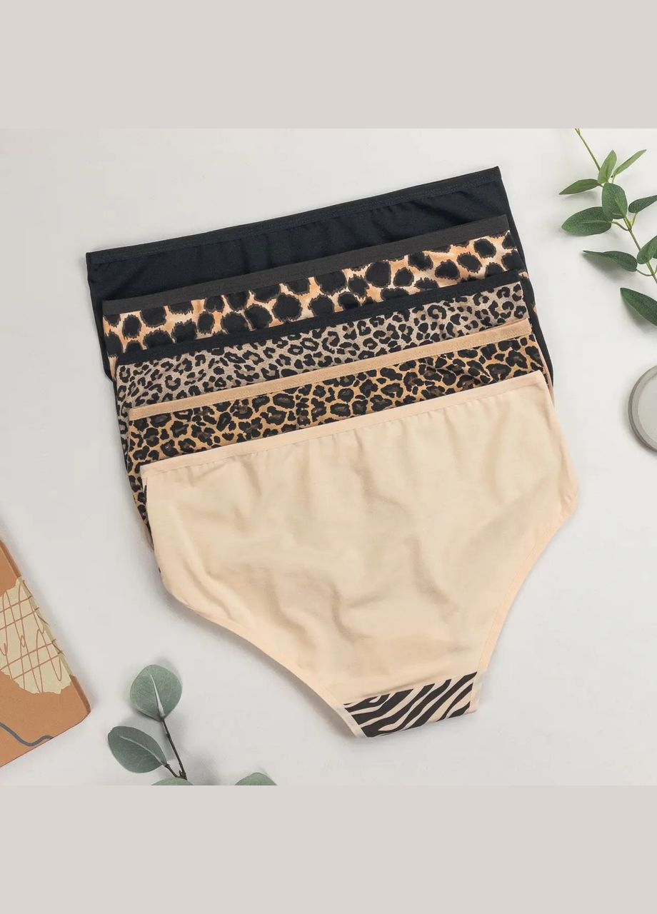 Жіночі трусики Plus Size - тваринний мікс 5 шт. Nicoletta (342119713)