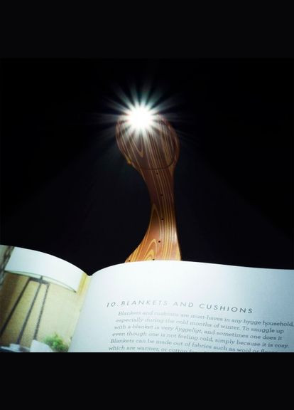 Закладка фонарик - Древесина FLEXILIGHT (290111154)