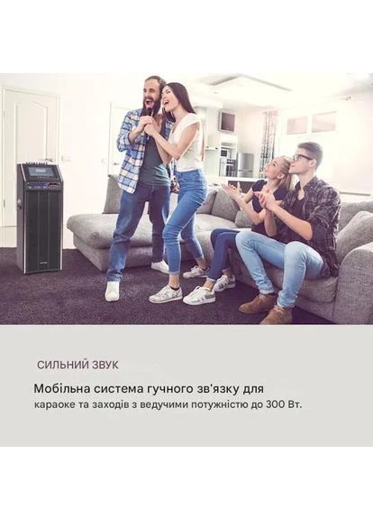 Мобільна акустична система 300 Вт (10035201) Auna DisGo Box 2100 DVD (383406808)
