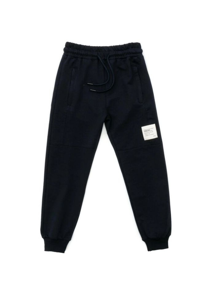 Темно-синие демисезонные брюки Joi