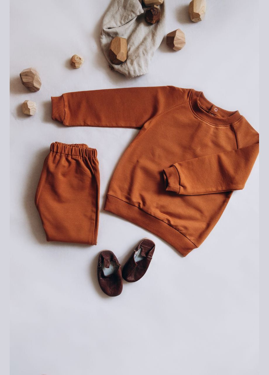 Коричневый демисезонный детский костюм для малыша (кофта + штанишки) Egoza