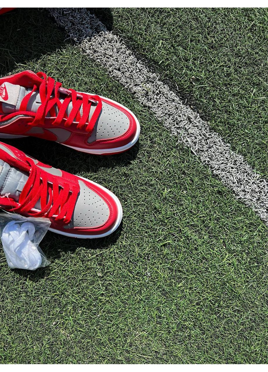 Серые демисезонные кроссовки мужские nike sb dunk low retro medium grey red v2 найк сб данк No Brand