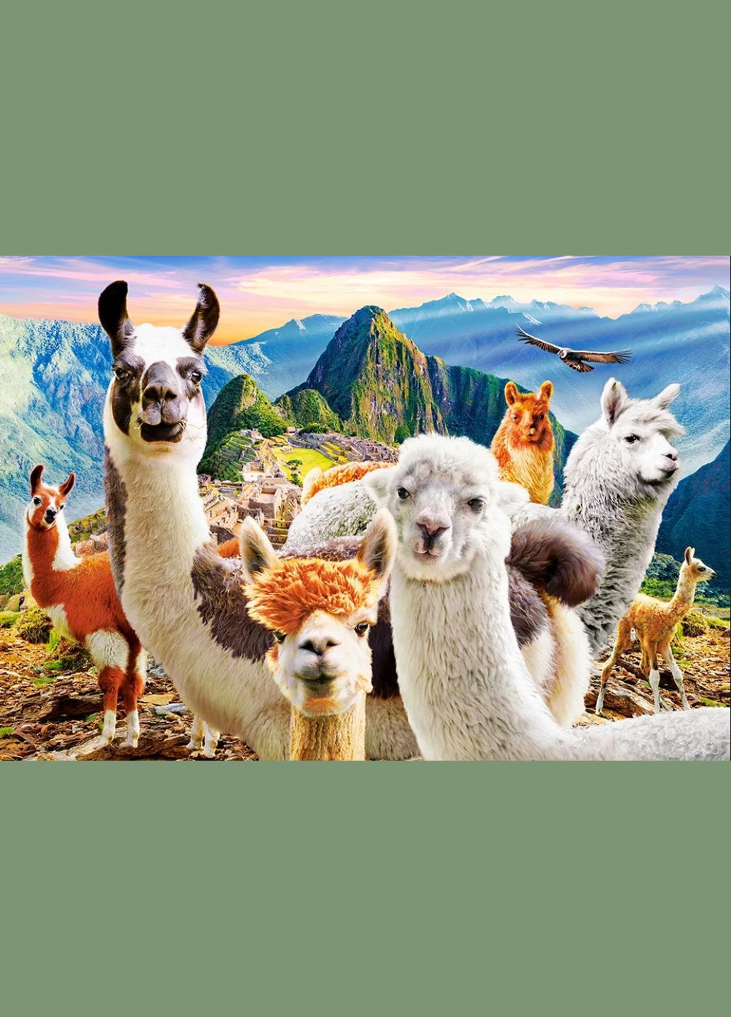 Пазл Селфі лам 1000 деталей Castorland (317353673)