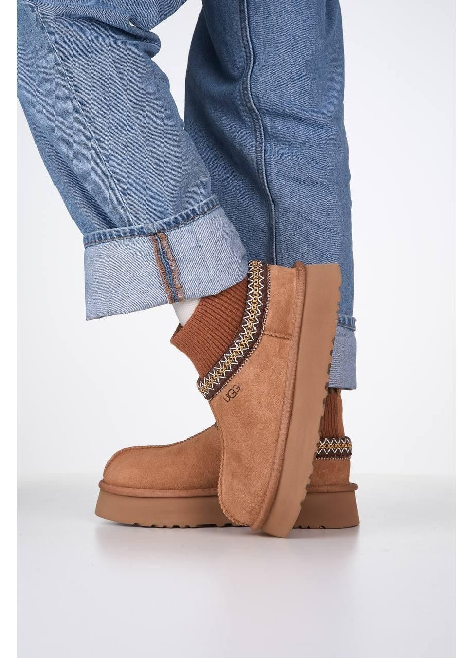 Женские зимние угги Ugg Tasman Platform Sock Chestnut шоколад No Brand горчичные зима (369156528)