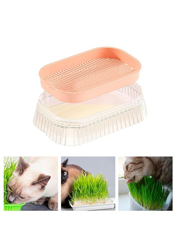 Лоток DT1159-D Пудра для пророщування котячої трави 5 шт. Lesko (372350293)