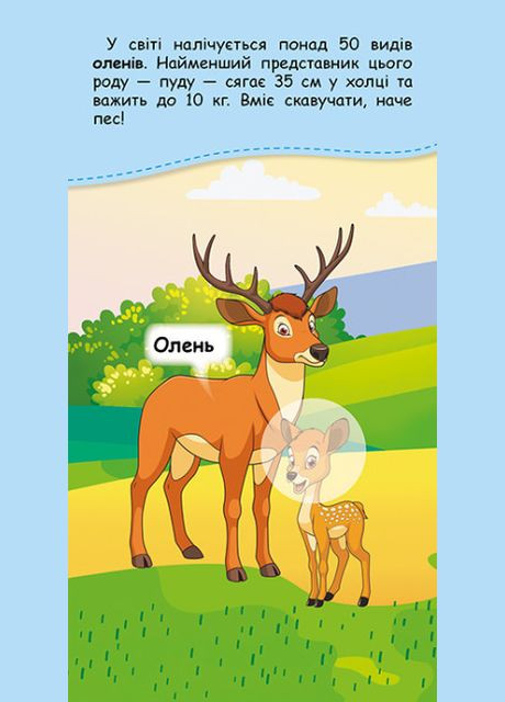 Книга в карман с наклейками. Где чей малыш? Кенгуру ( ) РАНОК (338880049)