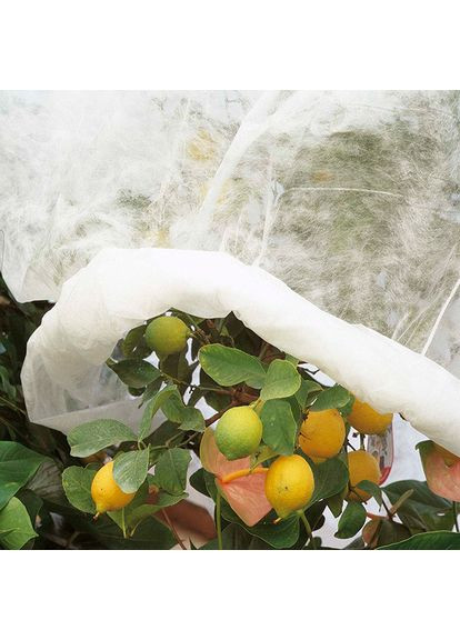 Захисний нетканий матеріал Verdemax 1,6x10 м поліпропілен для захисту рослин від низьких температур укриття для рослин ProDobro (367264916)