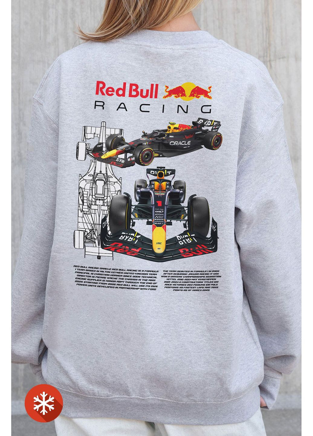 Чорний жіночий утеплений оверсайз світшот на флісі з принтом redbull gray Without малюнок (372520029)