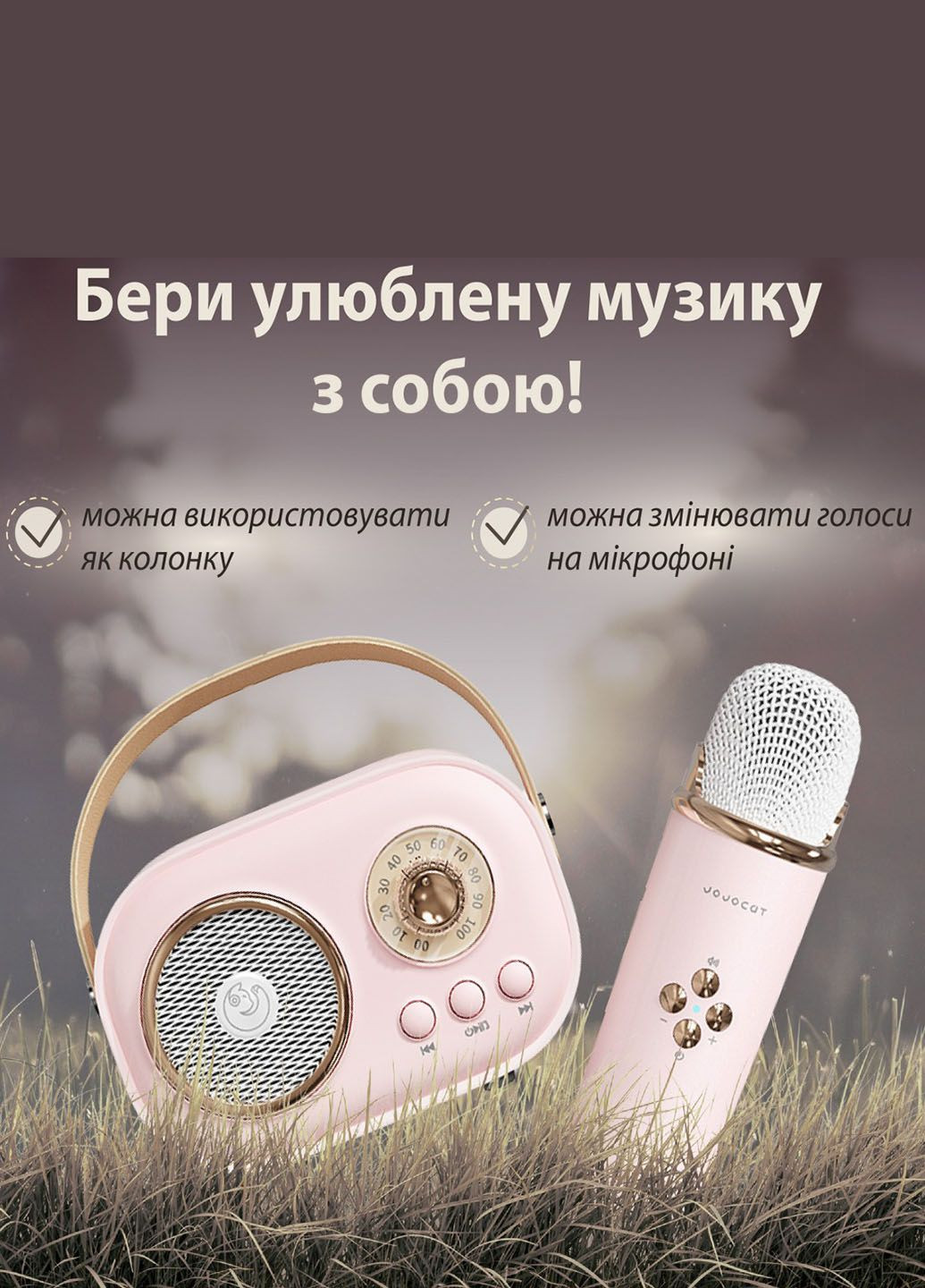 Колонка Bluetooth з мікрофоном портативна BT/TF/USB/FM з вологозахистом 5 Вт Platinum C-20 (302467635)