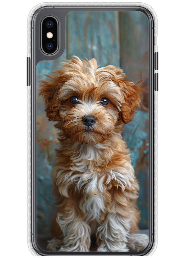 Чохол Bumper чохол 'Цуценя мальтипу' для Endorphone Apple iPhone XS Max (297866177)