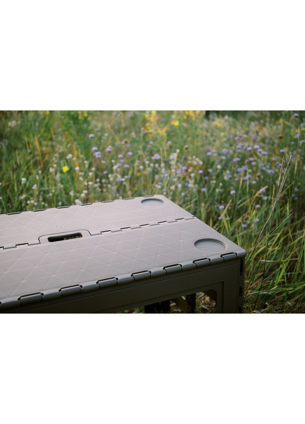 Стіл Camp Table Low пластиковий T-EF-0003-olive Tribe (366220508)