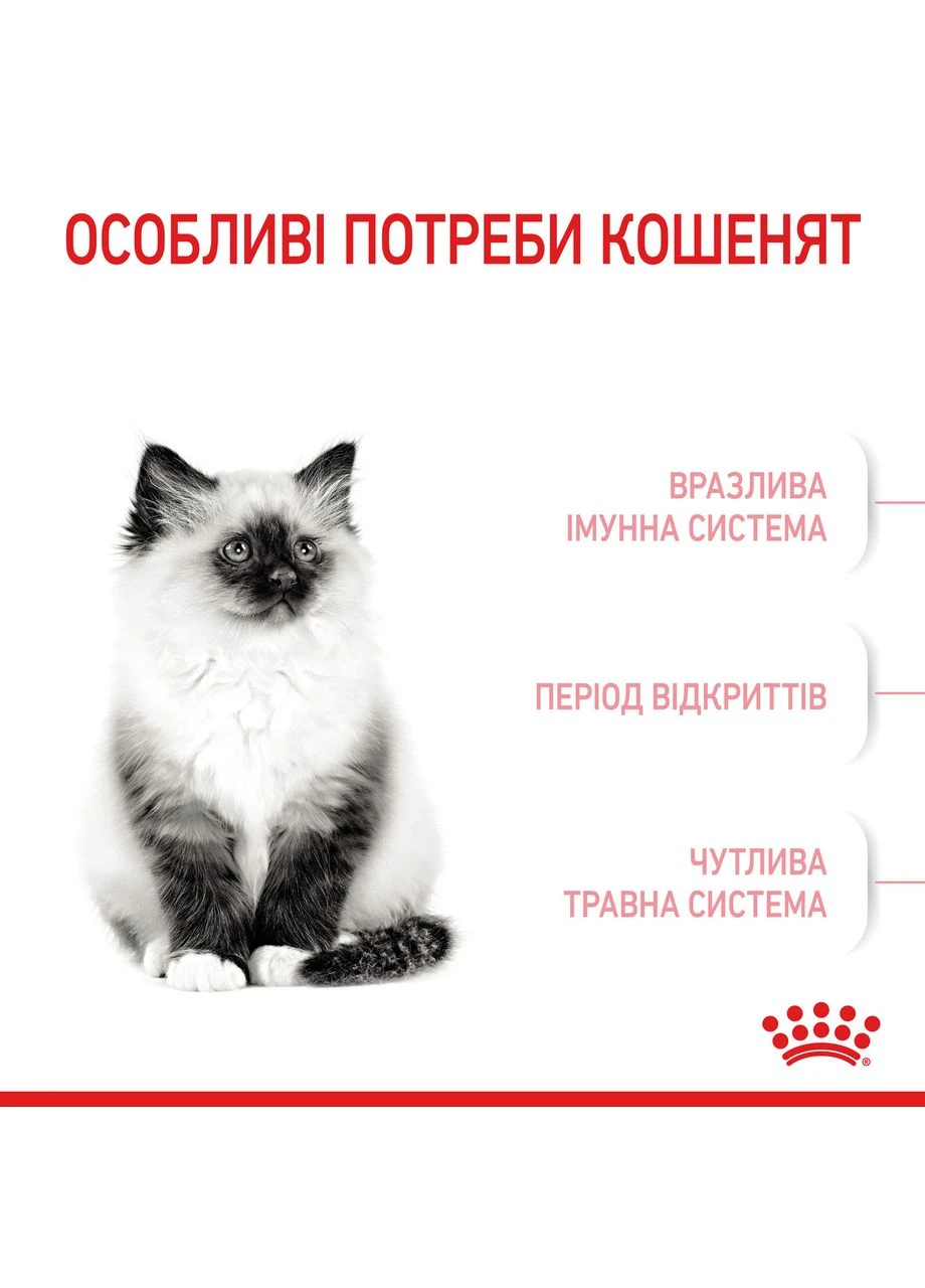 Kitten (Рояв Канін Кіттен) сухий корм для котят під час другої фази росту 4 кілограмів. Royal Canin (297510916)