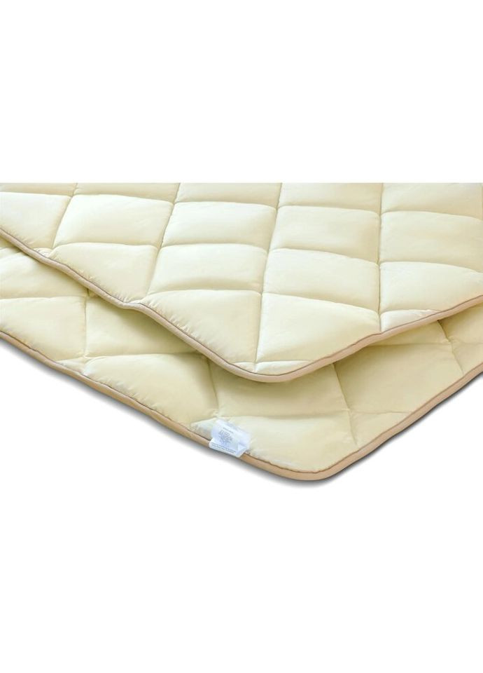 Одеяло антиаллергенное 3M Thinsulate №1335 Carmela Зимнее 140x205 см (2200001530591) Mirson (315025816)