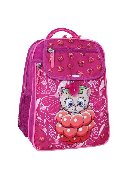 Рюкзак шкільний Відмінник 20 л. 143 малина 899 (0058070) (418214845) Bagland Відмінник 20 л. 143 малина 899 (0058070) (366697437)