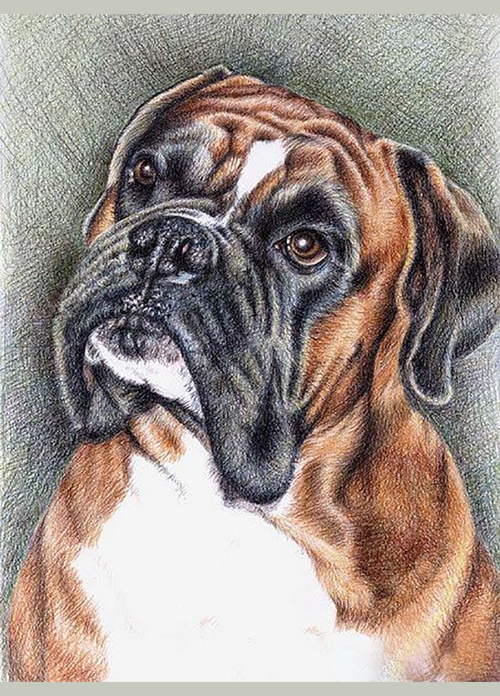 Алмазна мозаїка Чарівний діамант (333710908)