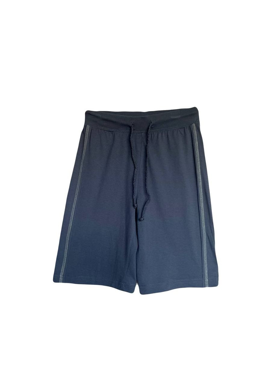 Шорты Синий Sprider (323057368)