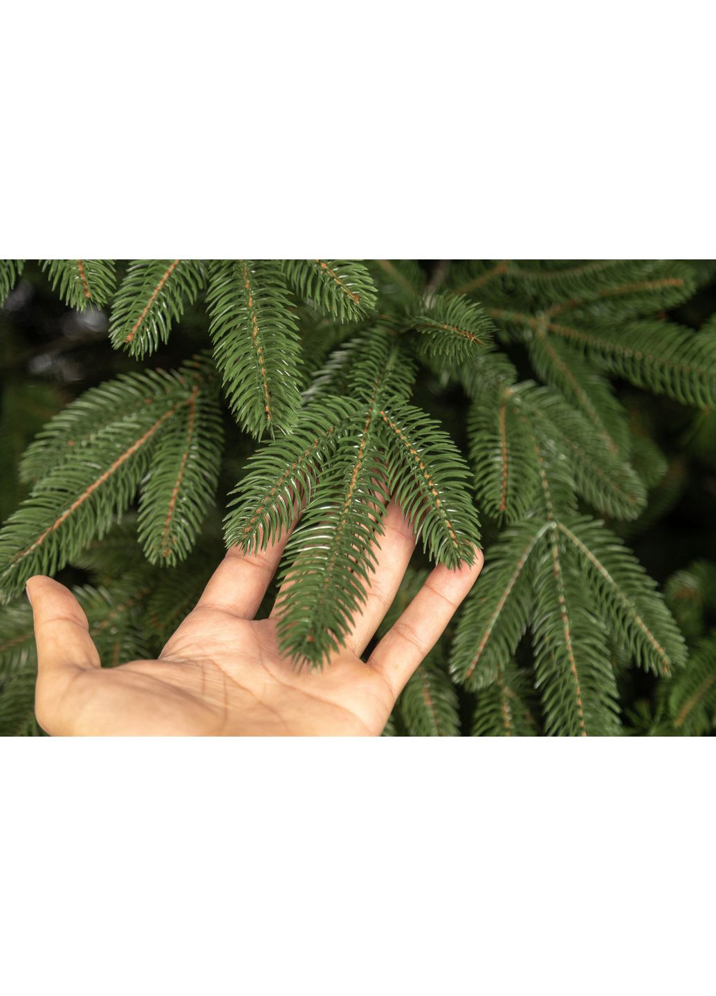 Ялинка лита "Лапландська" Зелена, 1.8м Siga Group (371638536)