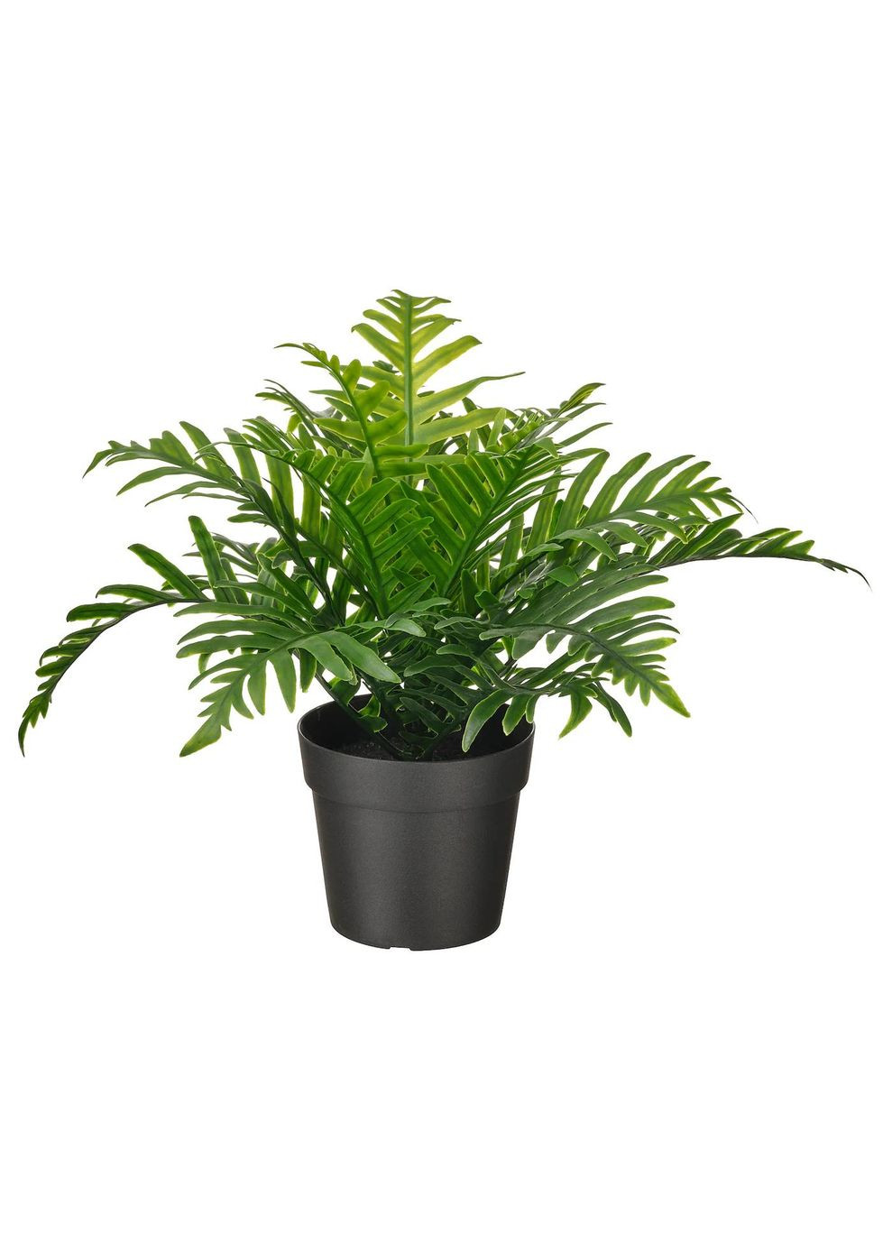 Штучна рослина в горщику ІКЕА FEJKA 9 см в Папротка (50493349) IKEA (271120710)