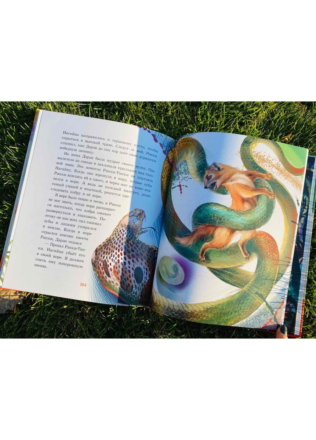 Редьярд Кіплінг. Казки далеких країн 9786170971364 РАНОК (297214602)