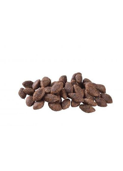 Сухий корм Dog Sustainable Activity для собак з підвищеною активністю, з куркою та комахами, 3 кг Brit Care (349823496)