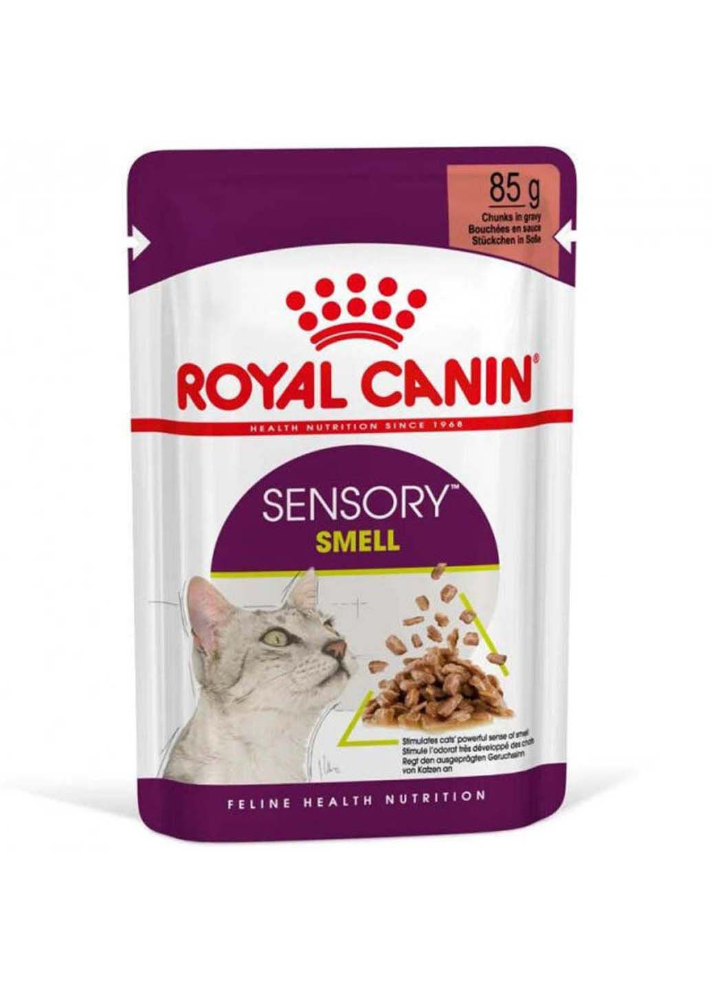 Консервированный корм Sensory Smell in Gravy 85 г Royal Canin (286472728)