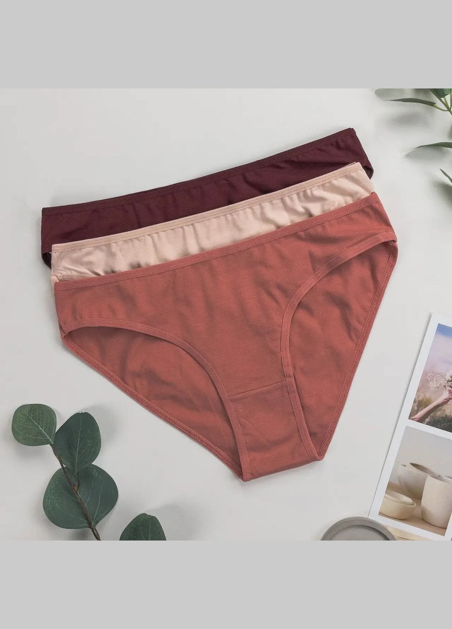 Набір трусиків жіночих сліпи трійки 3 шт Dominant (303724854)