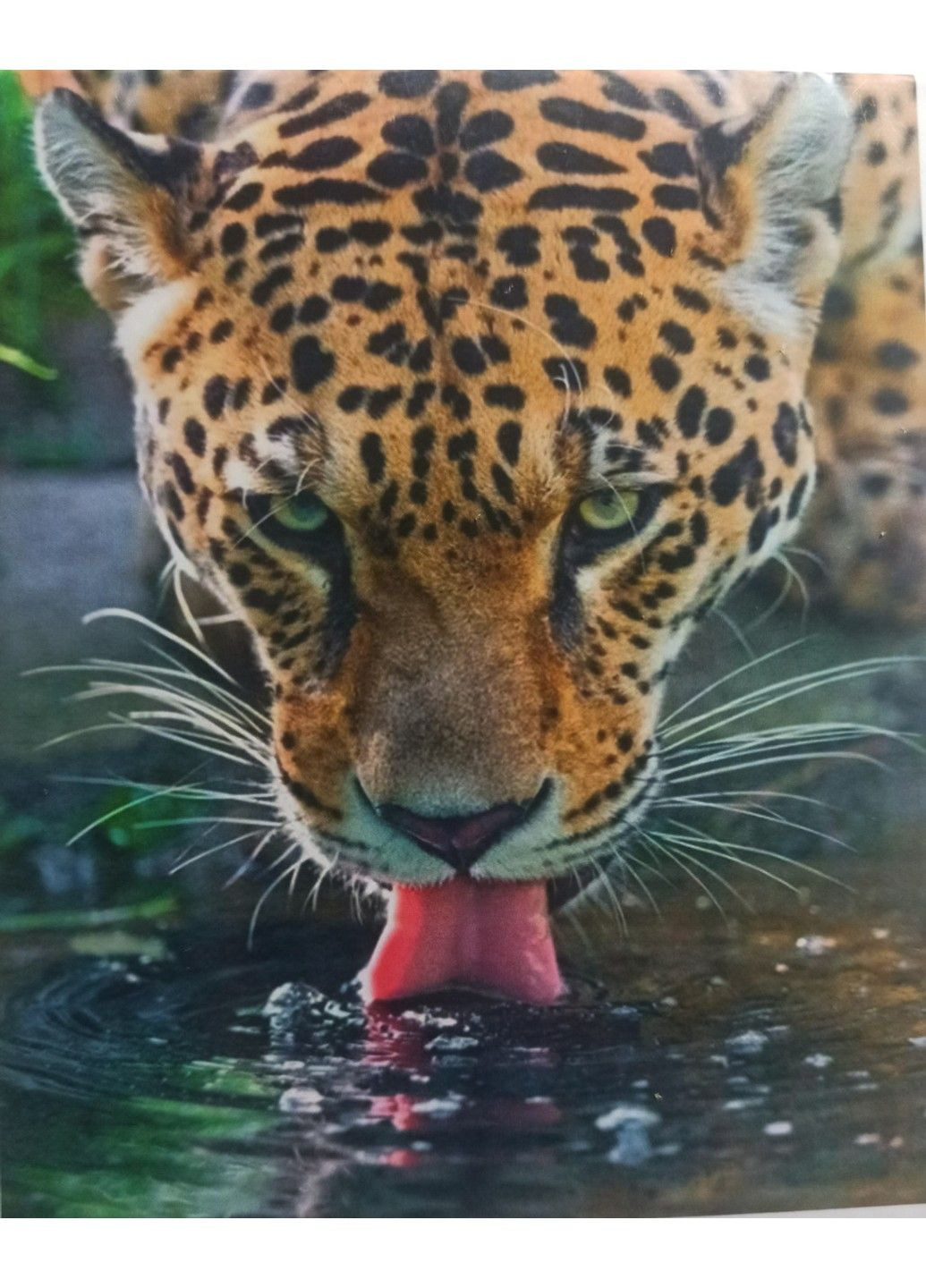 Набор алмазной вышивки " Леопард отдыхает " на подрамнике полная выкладка мозаика 5d 30х40 см No Brand (332208572)