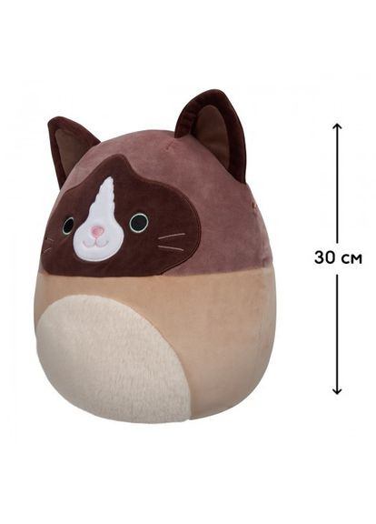 М'яка іграшка – Кіт Вудворд (30 cm) Squishmallows (290706267)