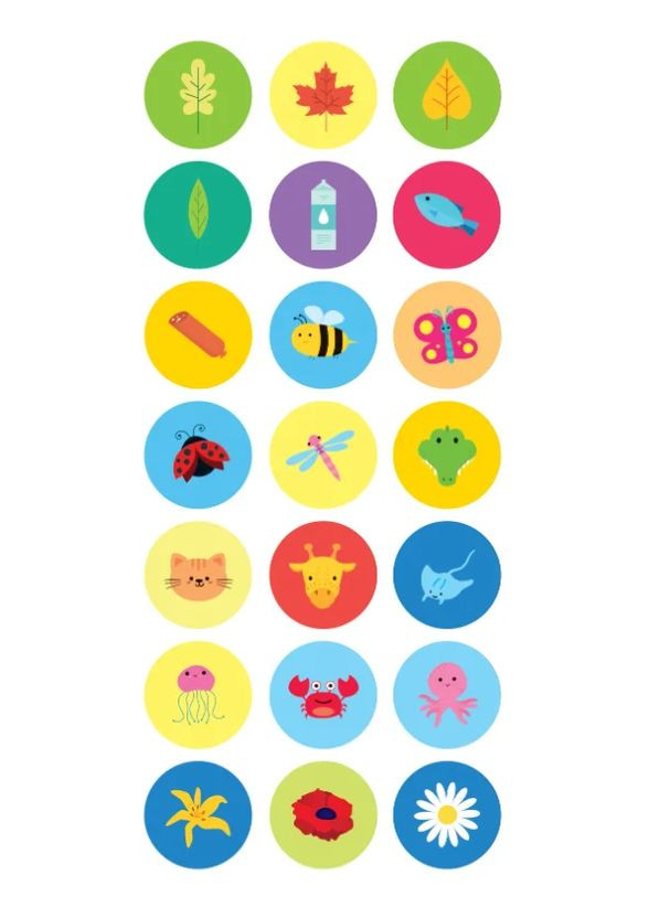 Сложные узоры. Каллиграфия для малышей Vivat (370076027)