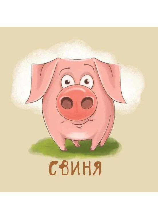 Мої перші слова. Тварини Видавництво "ПЕТ" (370134867)