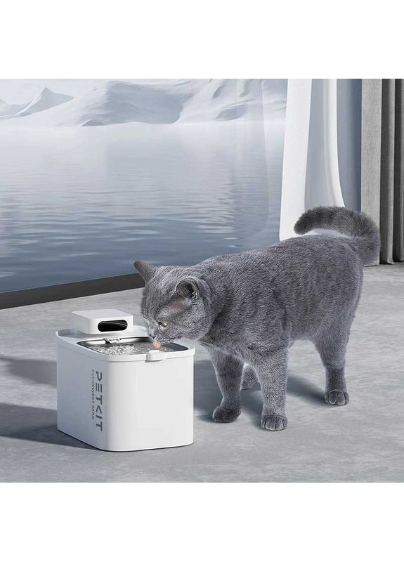 Фільтр для поїлки Filter Unit Rect- 5шт (P4171) PETKIT Eversweet Max (357472666)