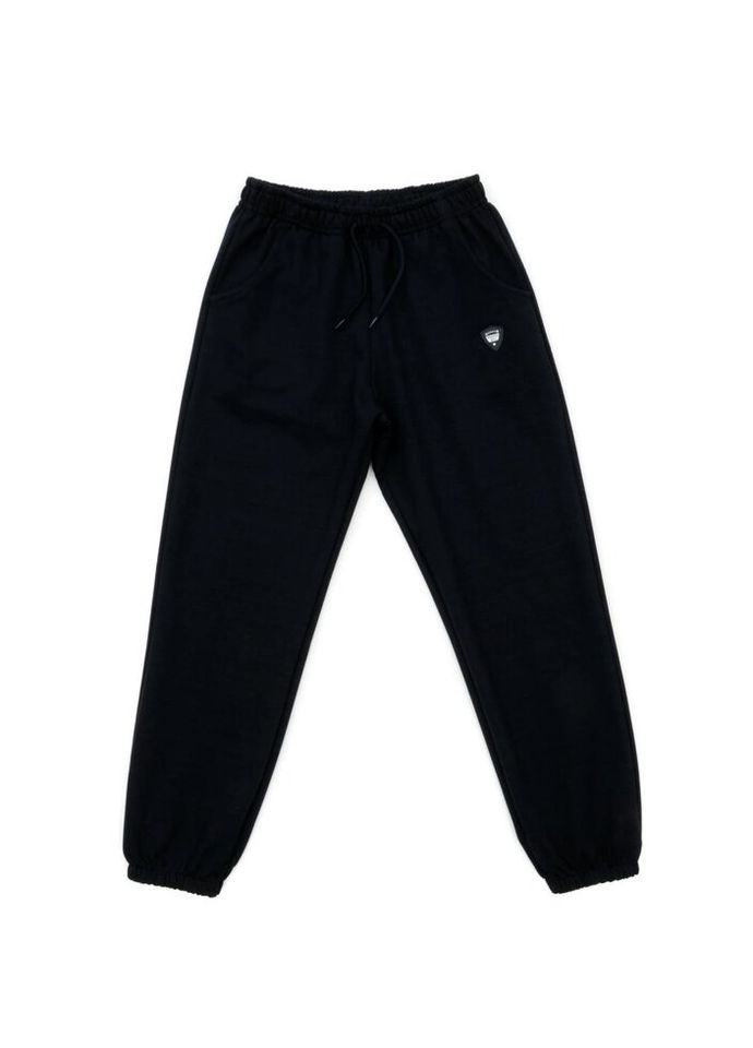 Темно-синие демисезонные брюки Breeze