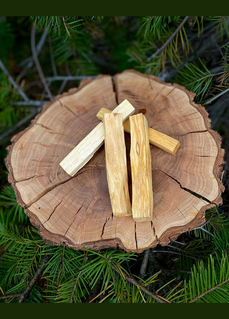 Набір Пало Санто 20 г Tea Dragon (329440186)