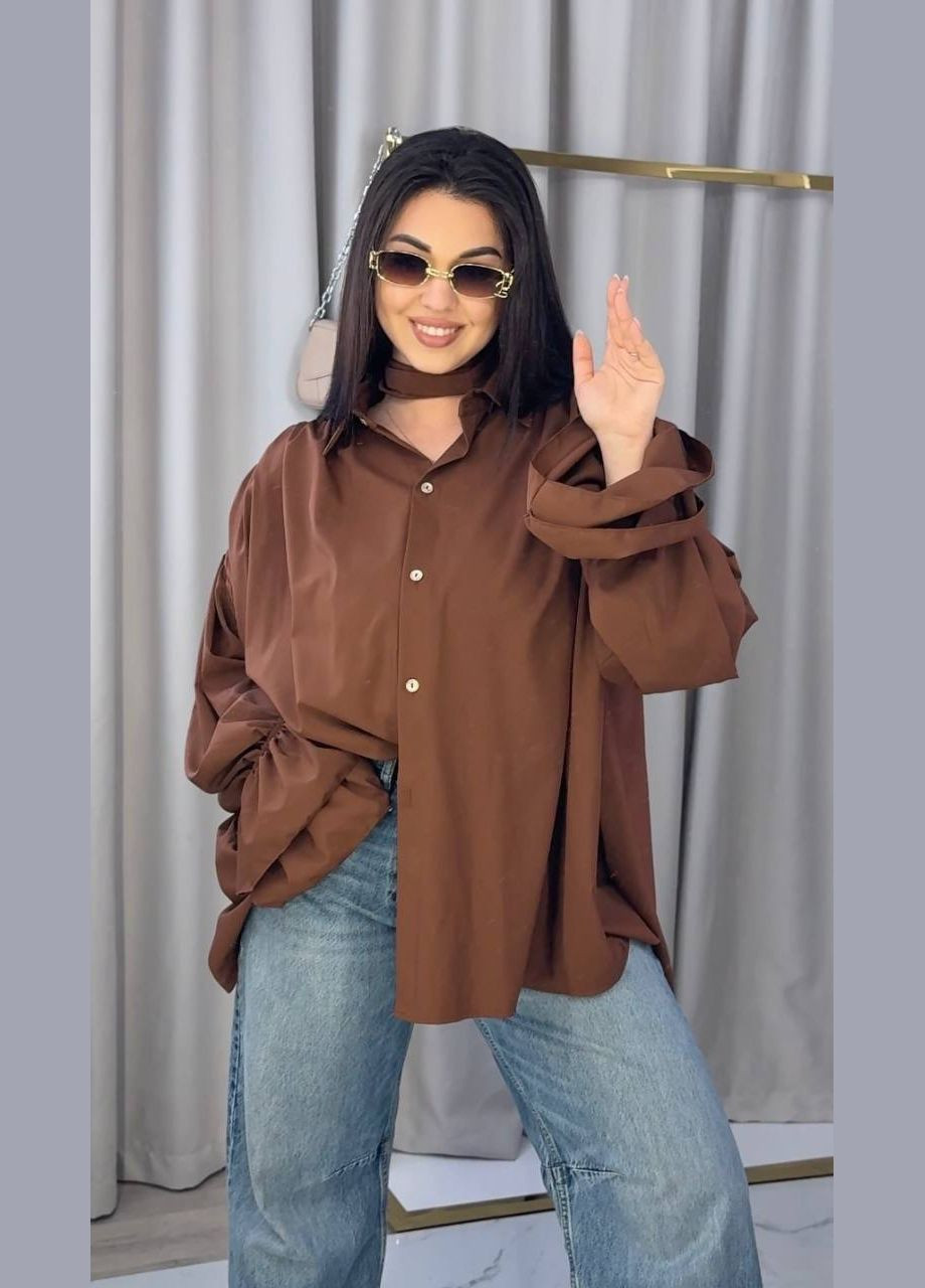 Коричневая классическая, повседневный, праздничный рубашка однотонная Avanti с длинным рукавом