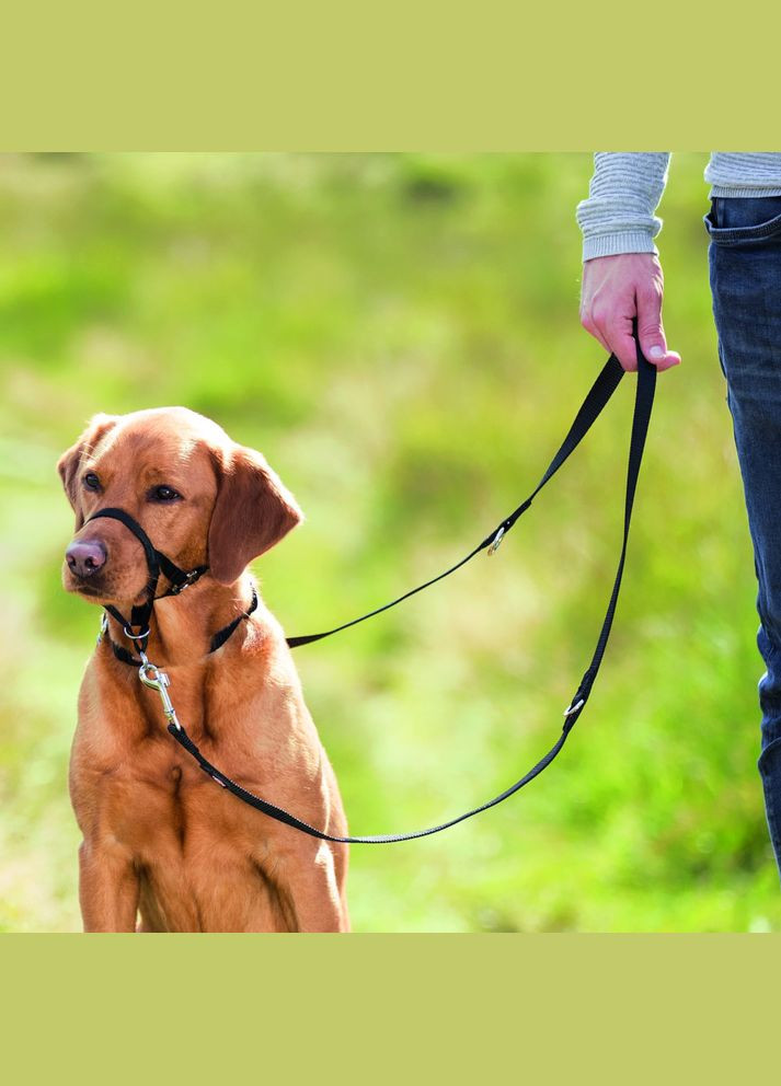 Шлей для собак L тренувальний, чорний Trixie (328925060)